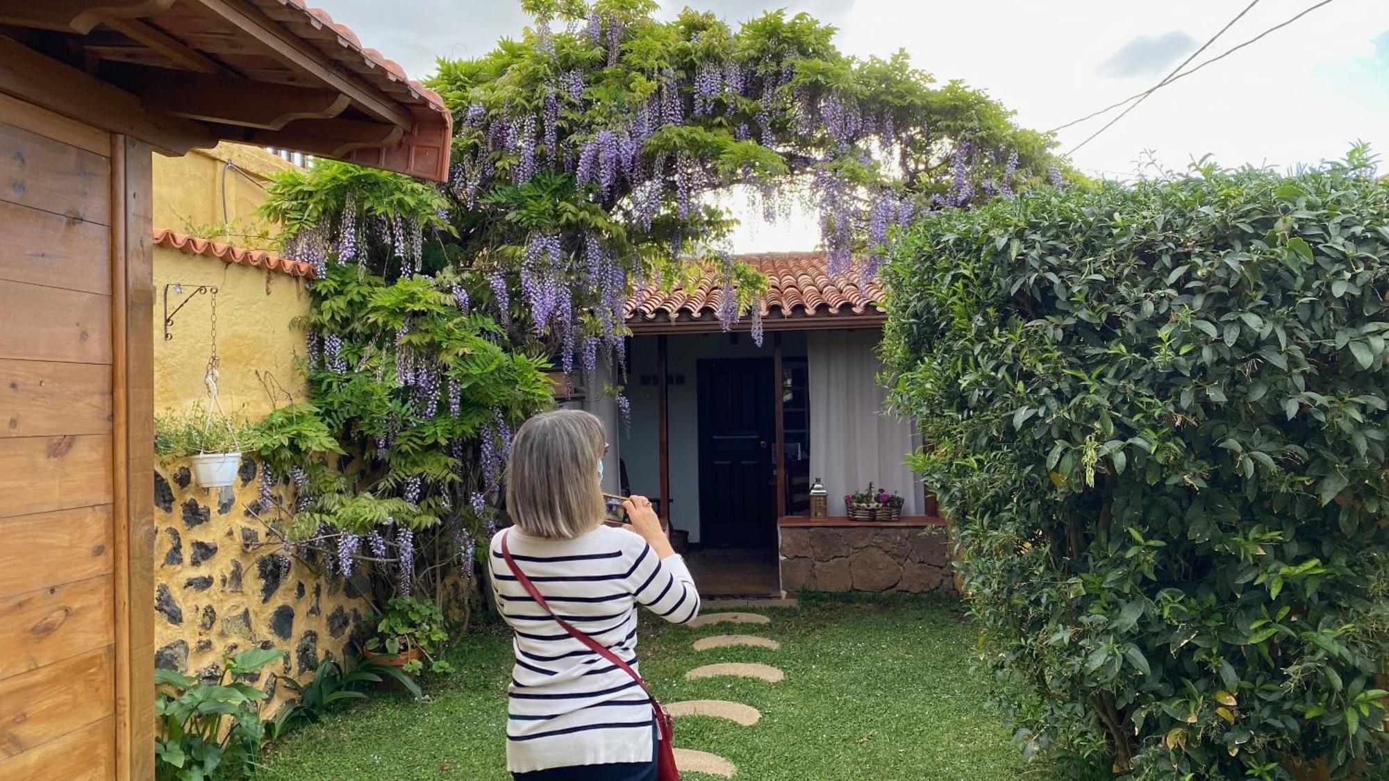 Casa Rural La Ganania Los Realejos Phòng bức ảnh