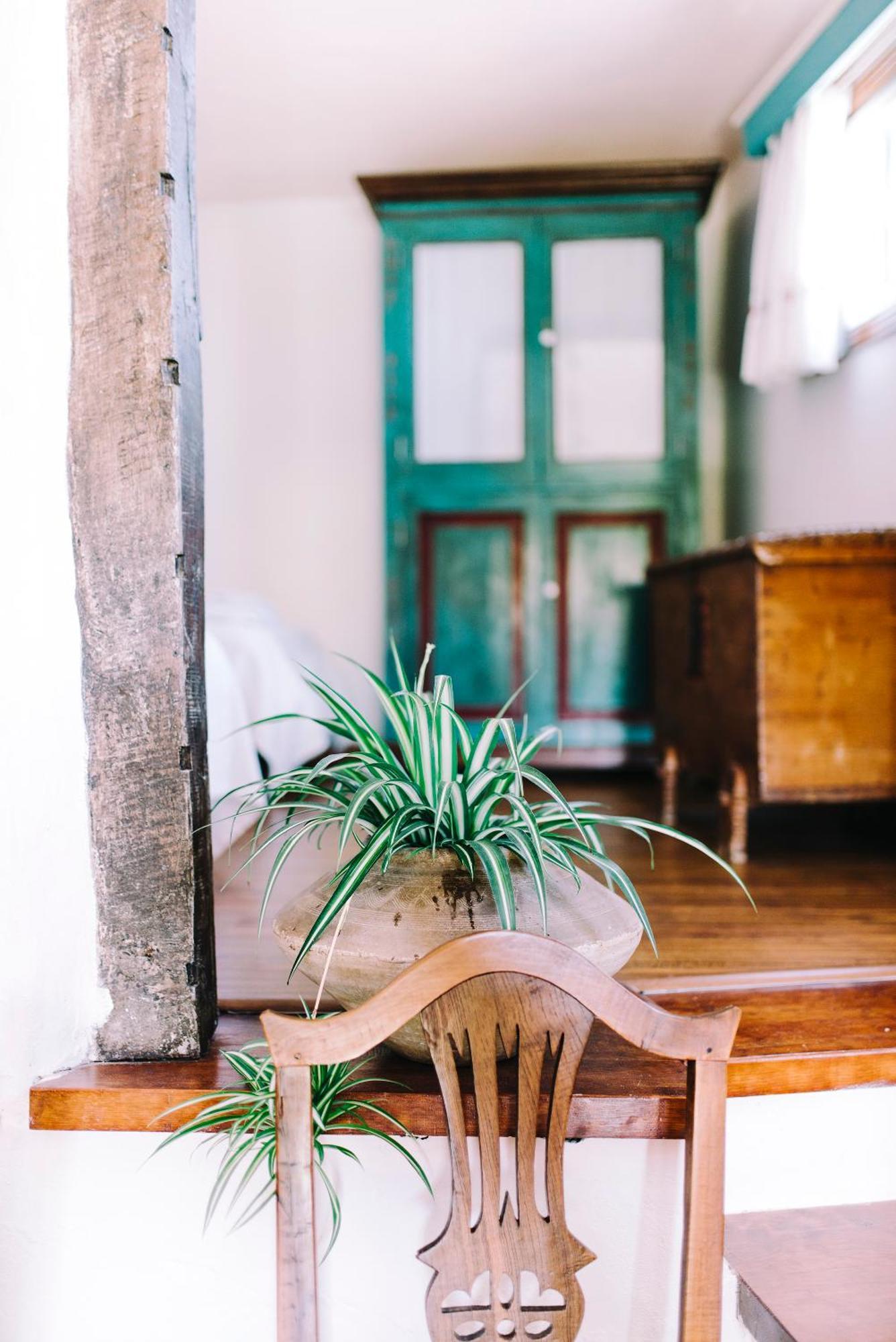 Casa Rural La Ganania Los Realejos Phòng bức ảnh